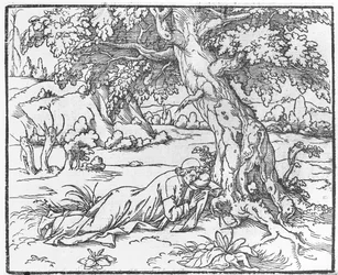 Seite aus Discours du Songe de Poliphile, von Francesco Colonna, 1546